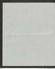 Nachlass Franz Steindachner, Brief von A. B. Meyer an Franz Steindachner (01.06.1881), Inv.Nr. 337.13, Seite 2